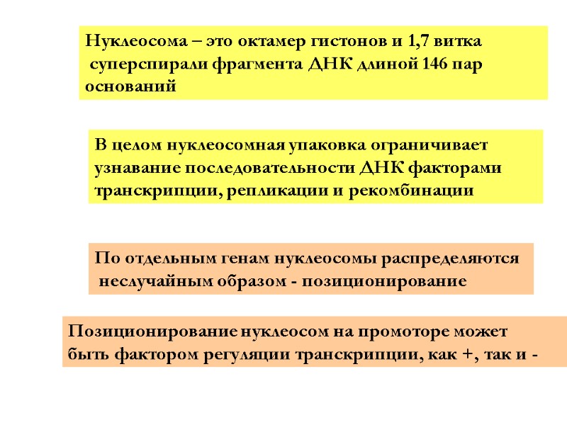 Нуклеосома – это октамер гистонов и 1,7 витка  суперспирали фрагмента ДНК длиной 146